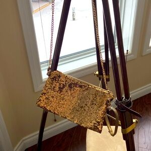 🆕 Gold sequin purse